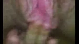 بڑی گدی دانی